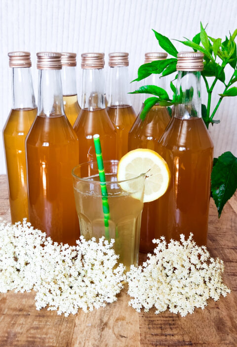 elderflower syrup with honey